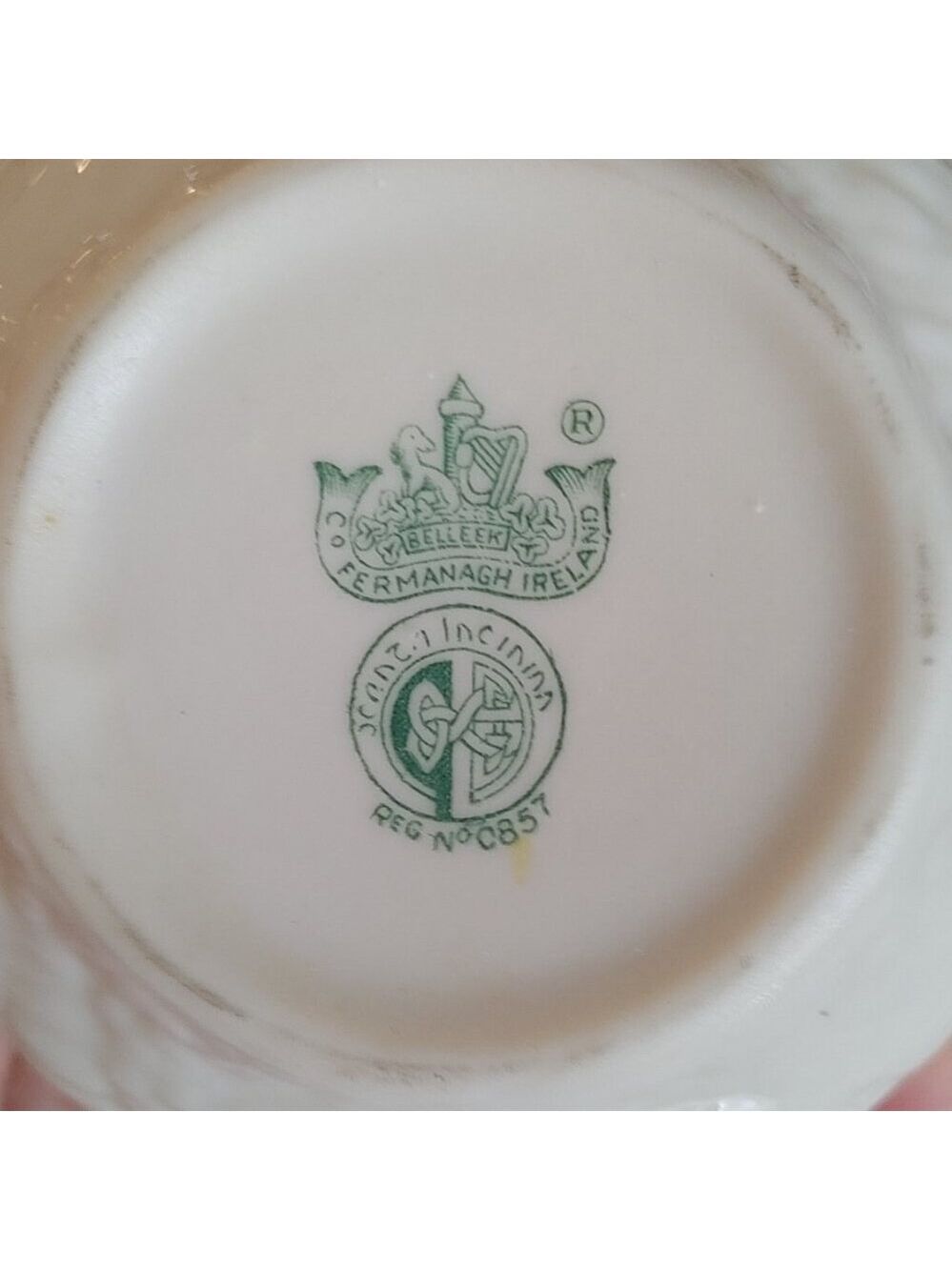 Belleek NAUTILUS SHELL Porcelain CREAMER CREAM PITCHER & SUGAR Bowl - Picture 10 of 12